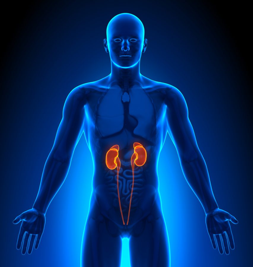 Conditions (Medical and Social) that Increase the Risk for Kidney